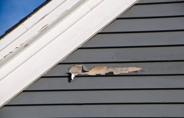 Shed Removal in Westminster, SC